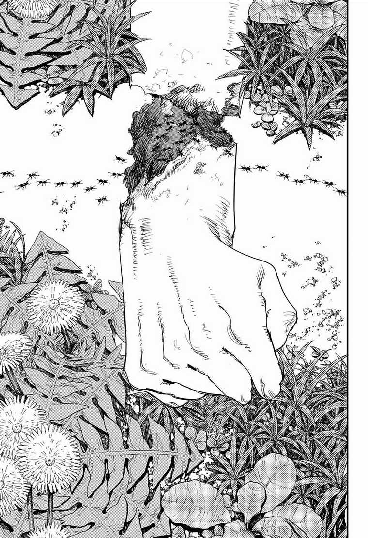 Chainsaw Man - Thợ Săn Quỷ Chapter 63 trang 19