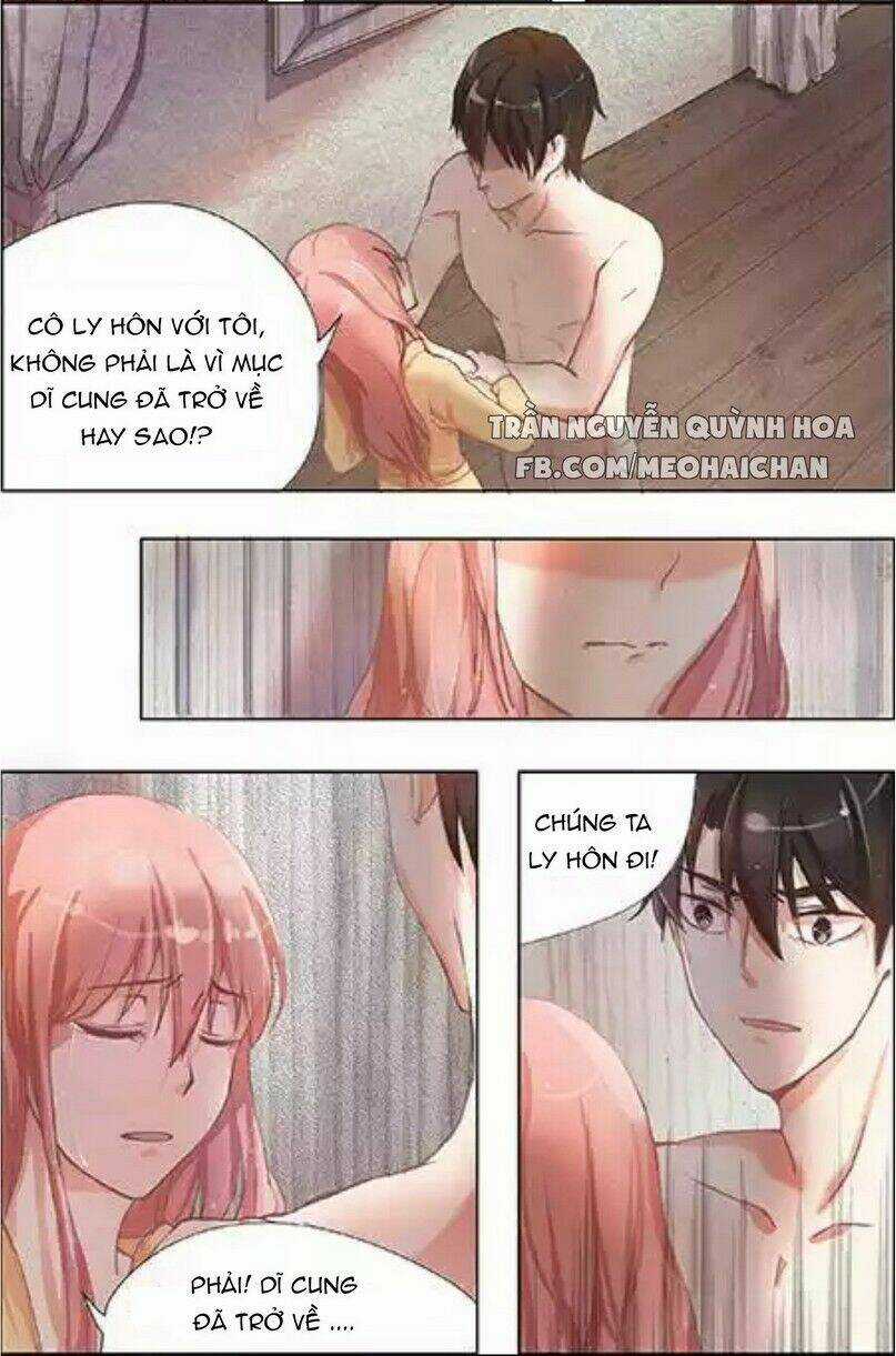 Chẩm Thượng Sủng Hôn Chapter 3 trang 3