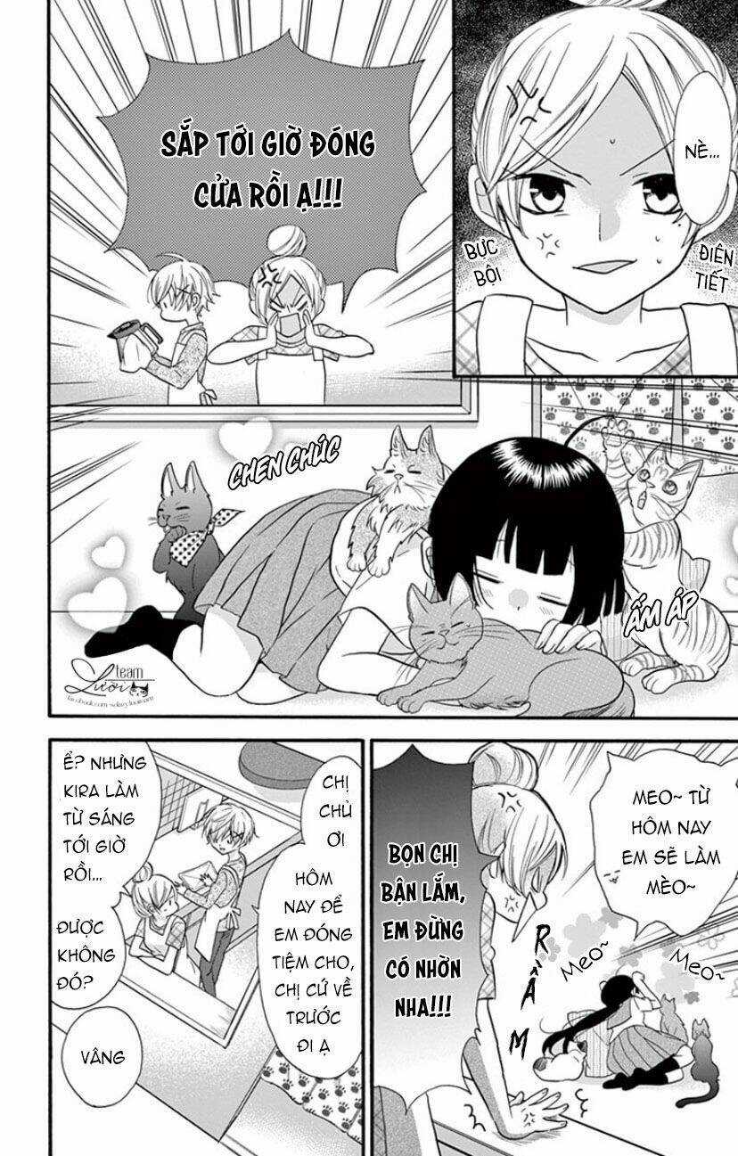 Chàng Rể Giả Nhân Giả Nghĩa Chapter 19 trang 14