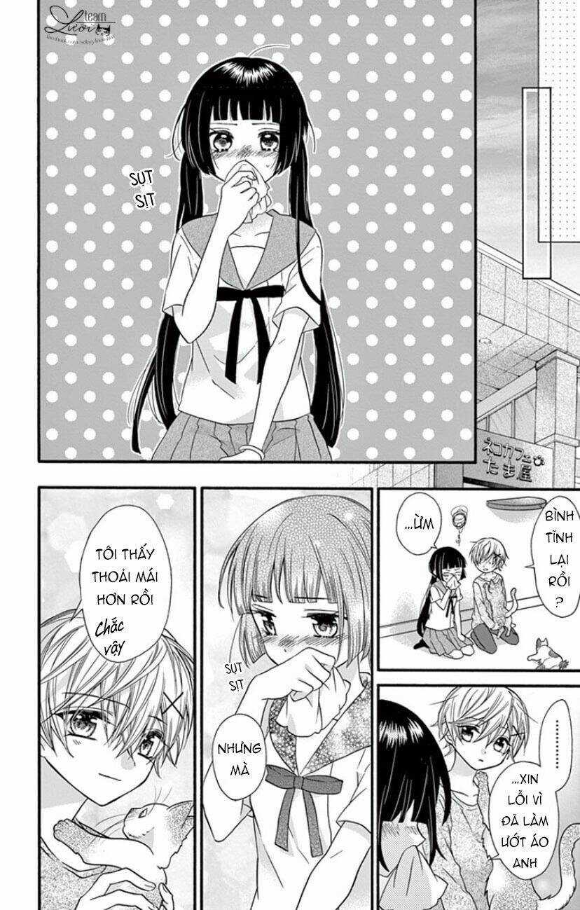 Chàng Rể Giả Nhân Giả Nghĩa Chapter 19 trang 24