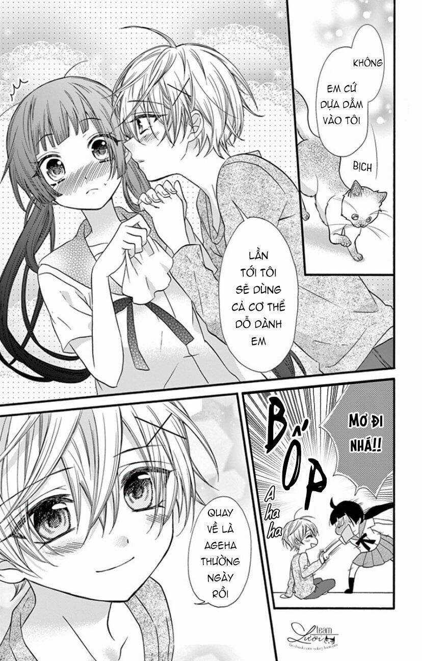 Chàng Rể Giả Nhân Giả Nghĩa Chapter 19 trang 25
