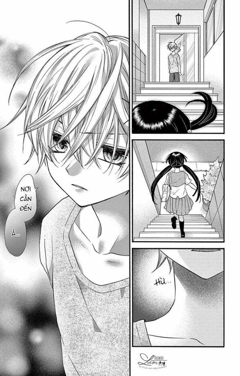 Chàng Rể Giả Nhân Giả Nghĩa Chapter 19 trang 27