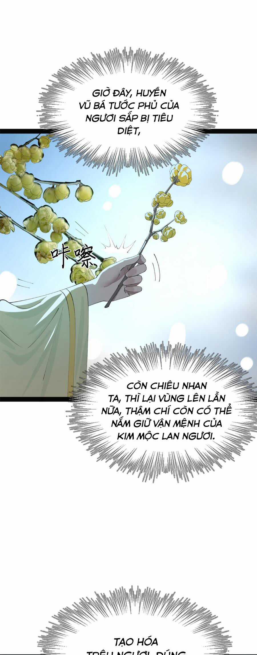 Chàng Rể Mạnh Nhất Lịch Sử Chương 151 trang 21