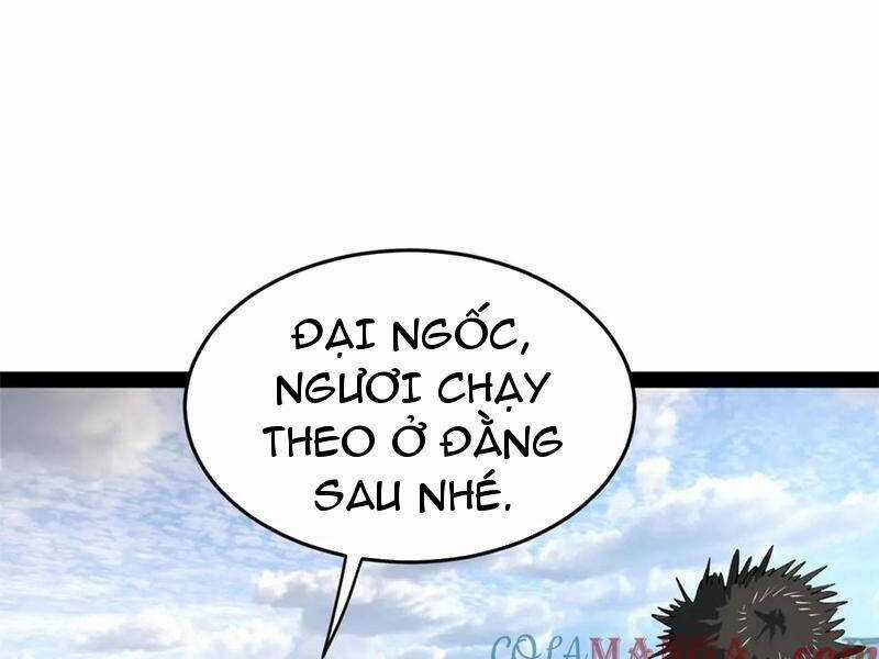 Chàng Rể Mạnh Nhất Lịch Sử Chương 203 trang 95