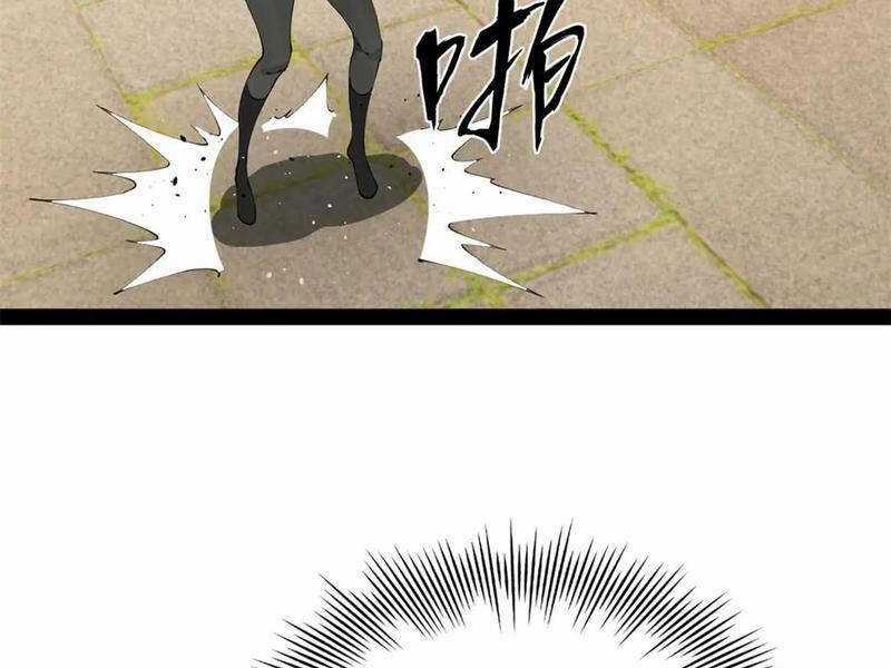 Chàng Rể Mạnh Nhất Lịch Sử Chương 206 trang 13