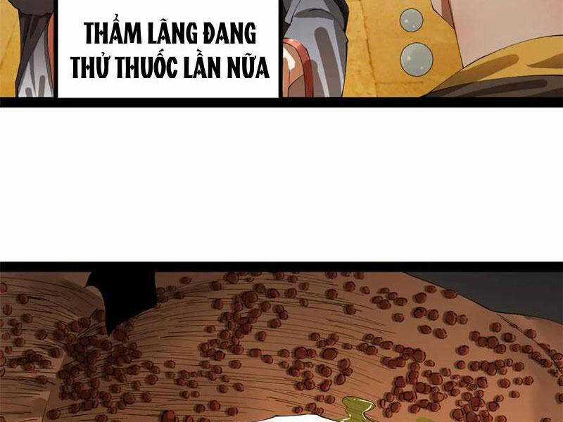 Chàng Rể Mạnh Nhất Lịch Sử Chương 216 trang 17