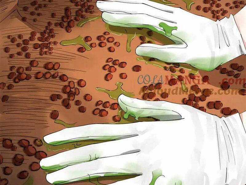 Chàng Rể Mạnh Nhất Lịch Sử Chương 216 trang 18