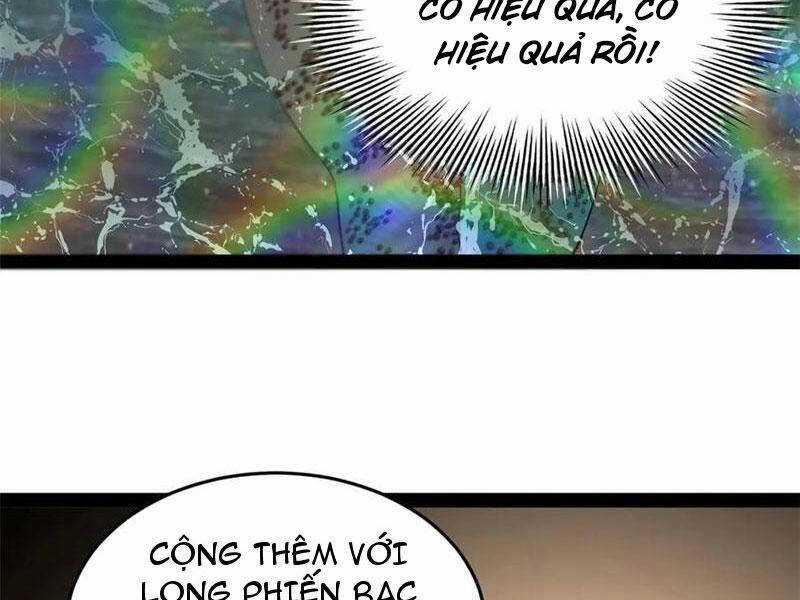 Chàng Rể Mạnh Nhất Lịch Sử Chương 216 trang 24