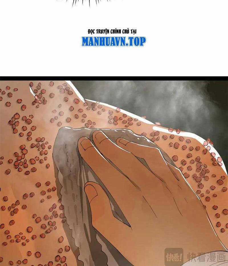 Chàng Rể Mạnh Nhất Lịch Sử Chương 218 trang 30