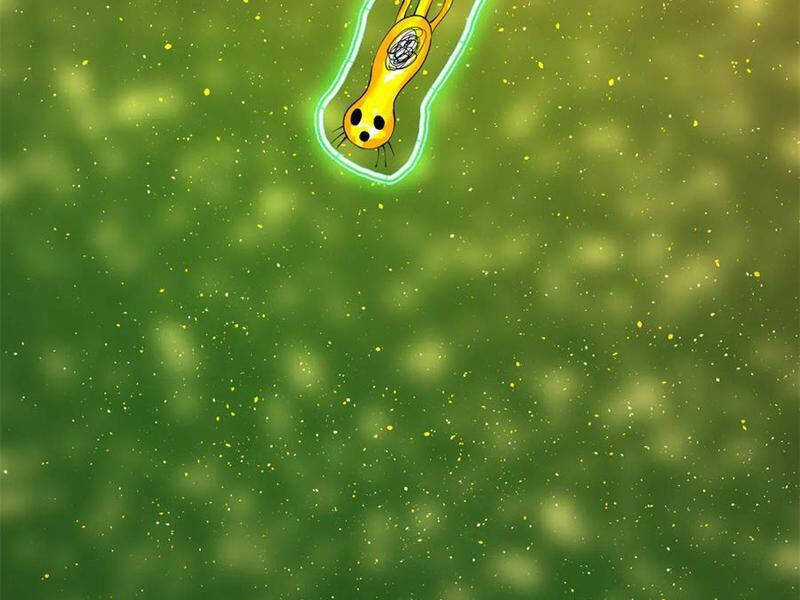 Chàng Rể Mạnh Nhất Lịch Sử Chương 225 trang 126