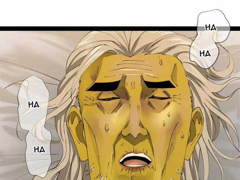 Chàng Rể Mạnh Nhất Lịch Sử Chương 234 trang 3