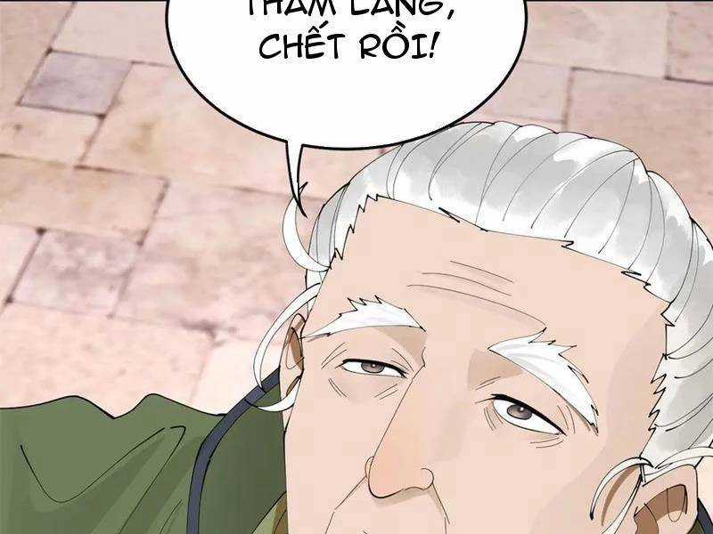 Chàng Rể Mạnh Nhất Lịch Sử Chương 238 trang 96