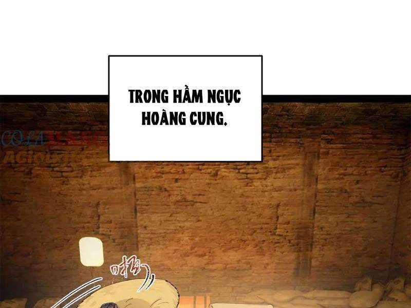 Chàng Rể Mạnh Nhất Lịch Sử Chương 246 trang 108