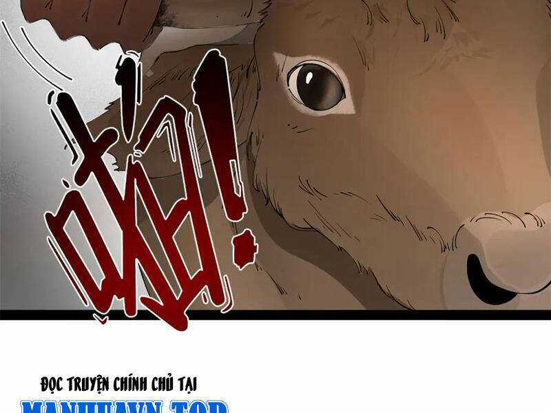 Chàng Rể Mạnh Nhất Lịch Sử Chương 247 trang 81