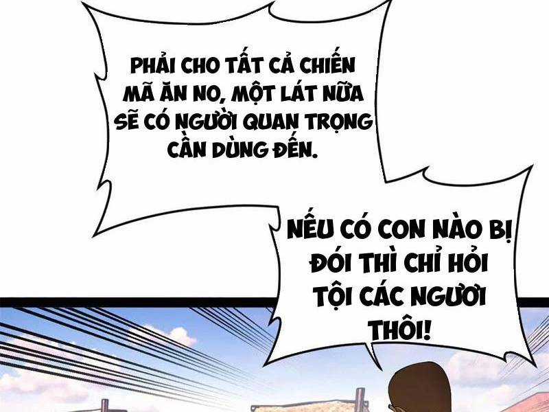 Chàng Rể Mạnh Nhất Lịch Sử Chương 253 trang 3