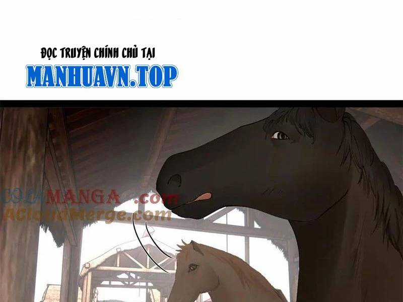 Chàng Rể Mạnh Nhất Lịch Sử Chương 253 trang 35