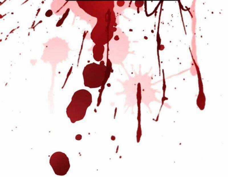 Chàng Rể Mạnh Nhất Lịch Sử Chương 254 trang 22