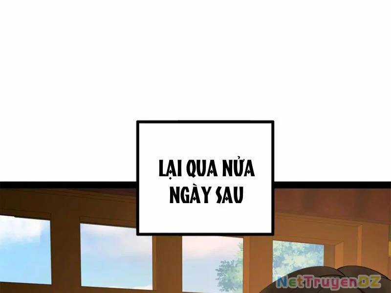 Chàng Rể Mạnh Nhất Lịch Sử Chương 255 trang 15