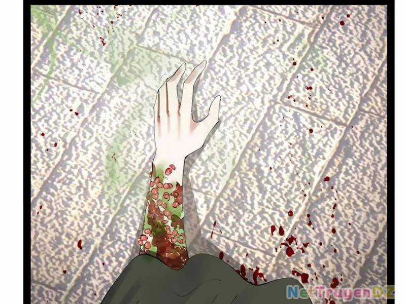 Chàng Rể Mạnh Nhất Lịch Sử Chương 255 trang 72