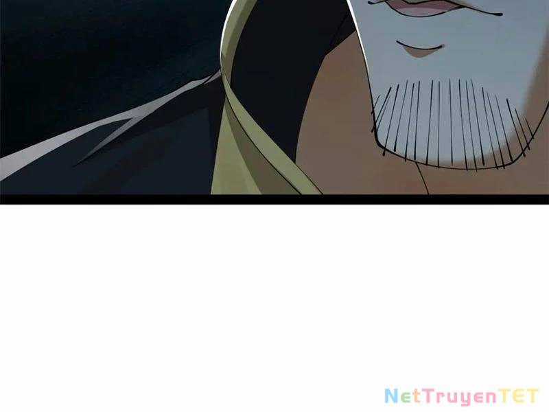 Chàng Rể Mạnh Nhất Lịch Sử Chương 265 trang 13