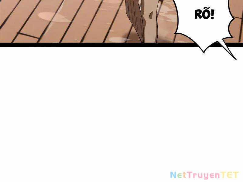 Chàng Rể Mạnh Nhất Lịch Sử Chương 265 trang 49