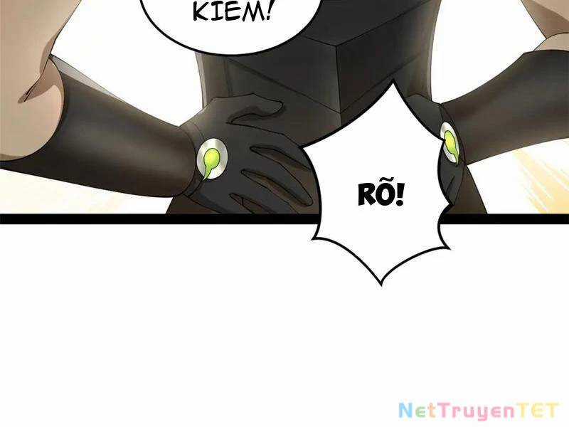 Chàng Rể Mạnh Nhất Lịch Sử Chương 265 trang 51