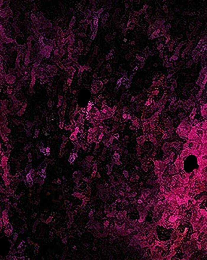 Change (Jinyuan) Ss2 Chapter 50 trang 67