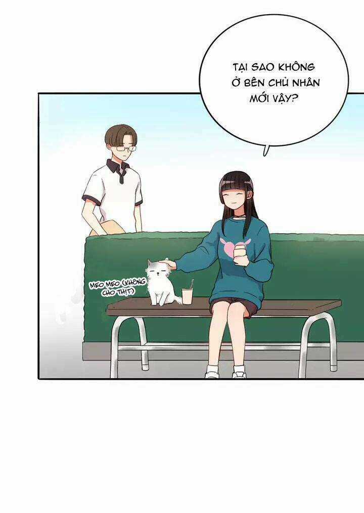 Chào Buổi Sáng, Hướng Dương Chapter 15 trang 49