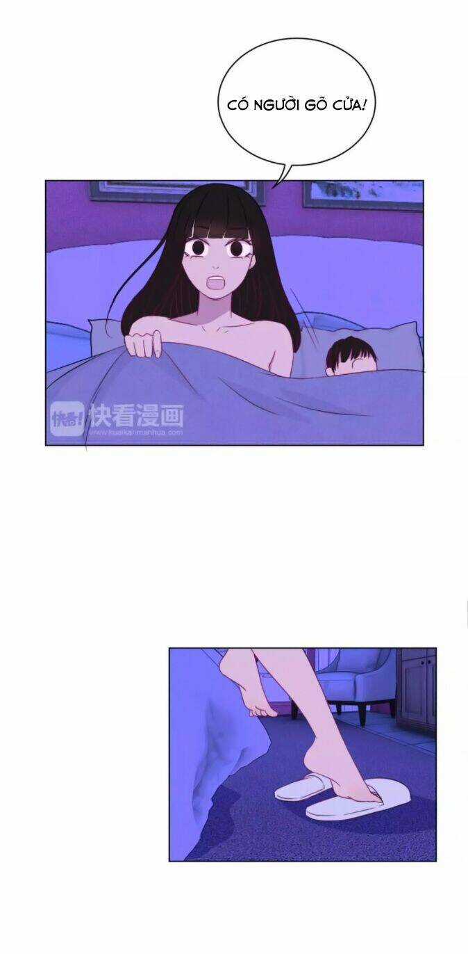 Chào Buổi Sáng, Hướng Dương Chapter 38 trang 3