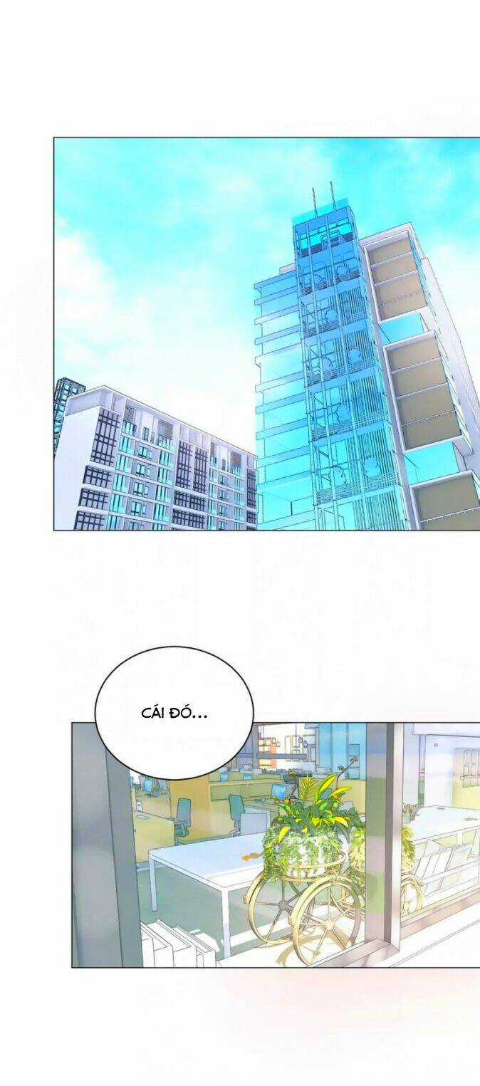 Chào Buổi Sáng, Hướng Dương Chapter 41 trang 19