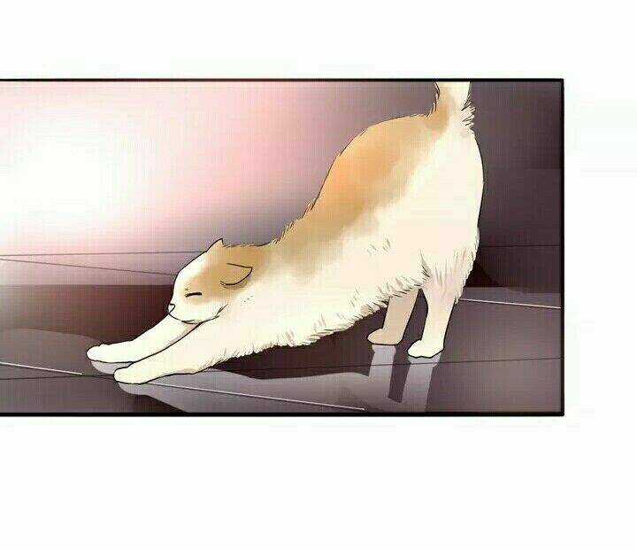 Chào Buổi Sáng, Hướng Dương Chapter 6 trang 44