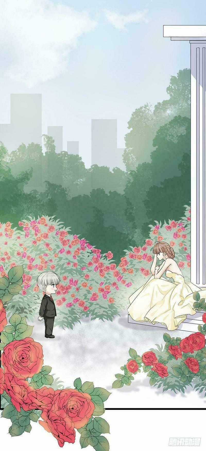 Chào Buổi Sáng, Ức Vạn Manh Thê Chapter 8 trang 1