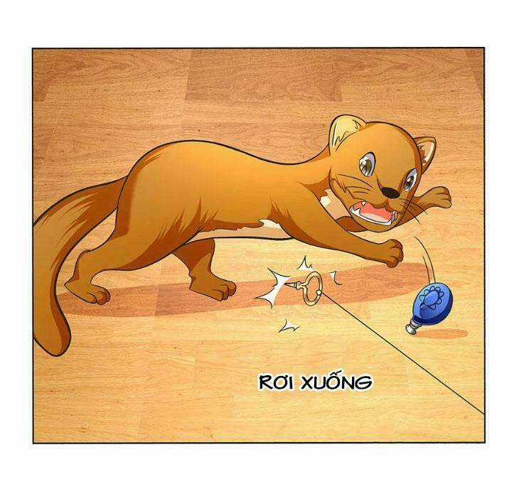 Chào Buổi Tối, Minh Vương Đại Nhân Chapter 14 trang 4