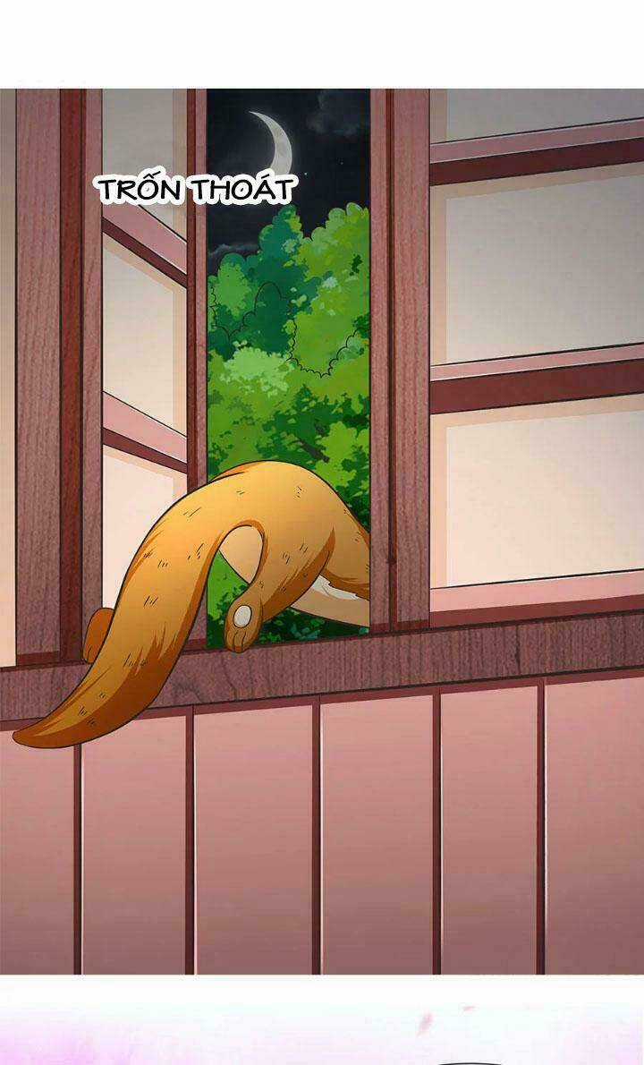 Chào Buổi Tối, Minh Vương Đại Nhân Chapter 14 trang 6