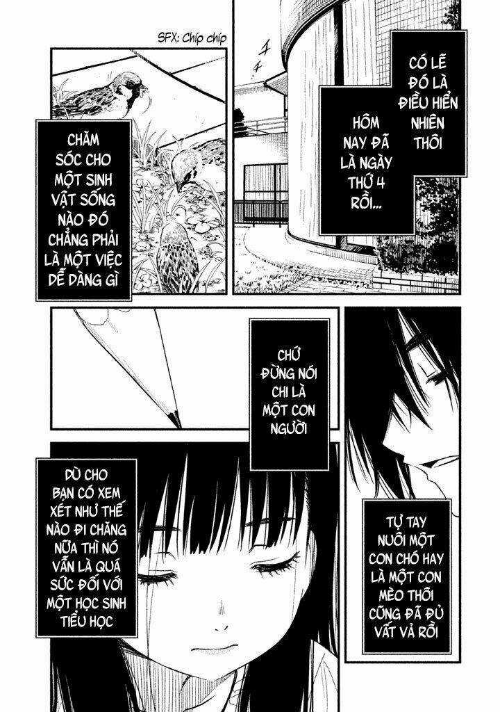 Chào Mừng Đến Với Lớp Học Thượng Đẳng: √Horikita Chapter 17 trang 2