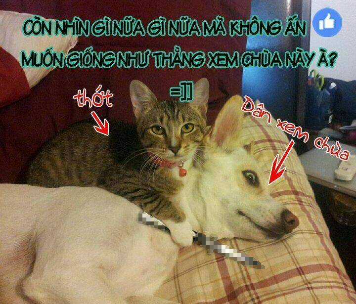 Chào Mừng Đến Với Lớp Học Thượng Đẳng: Other School Days Chapter 1 trang 17