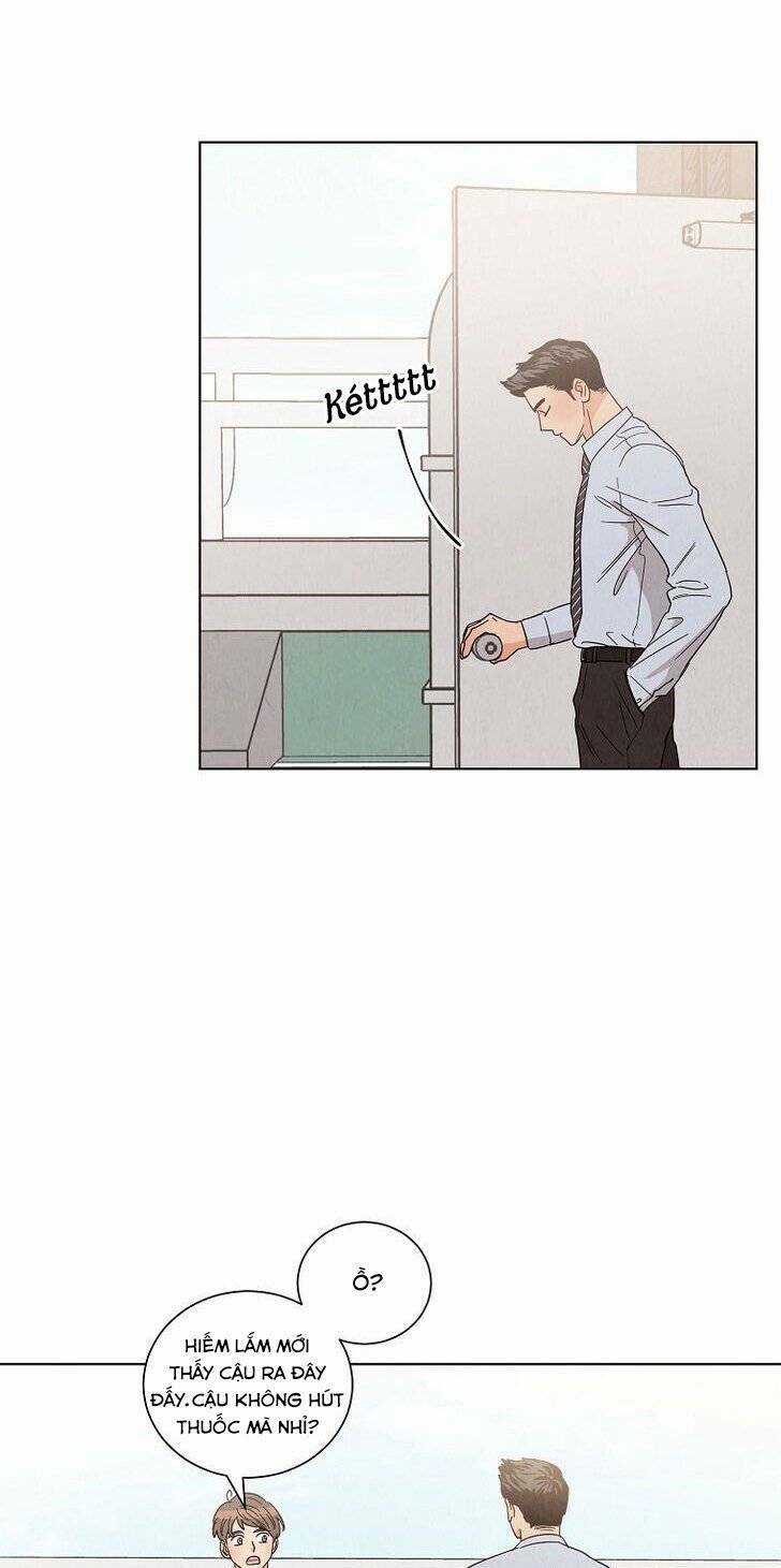 Chào Nhé, Không Làm Thông Gia Nữa Đâu! Chapter 12 trang 15