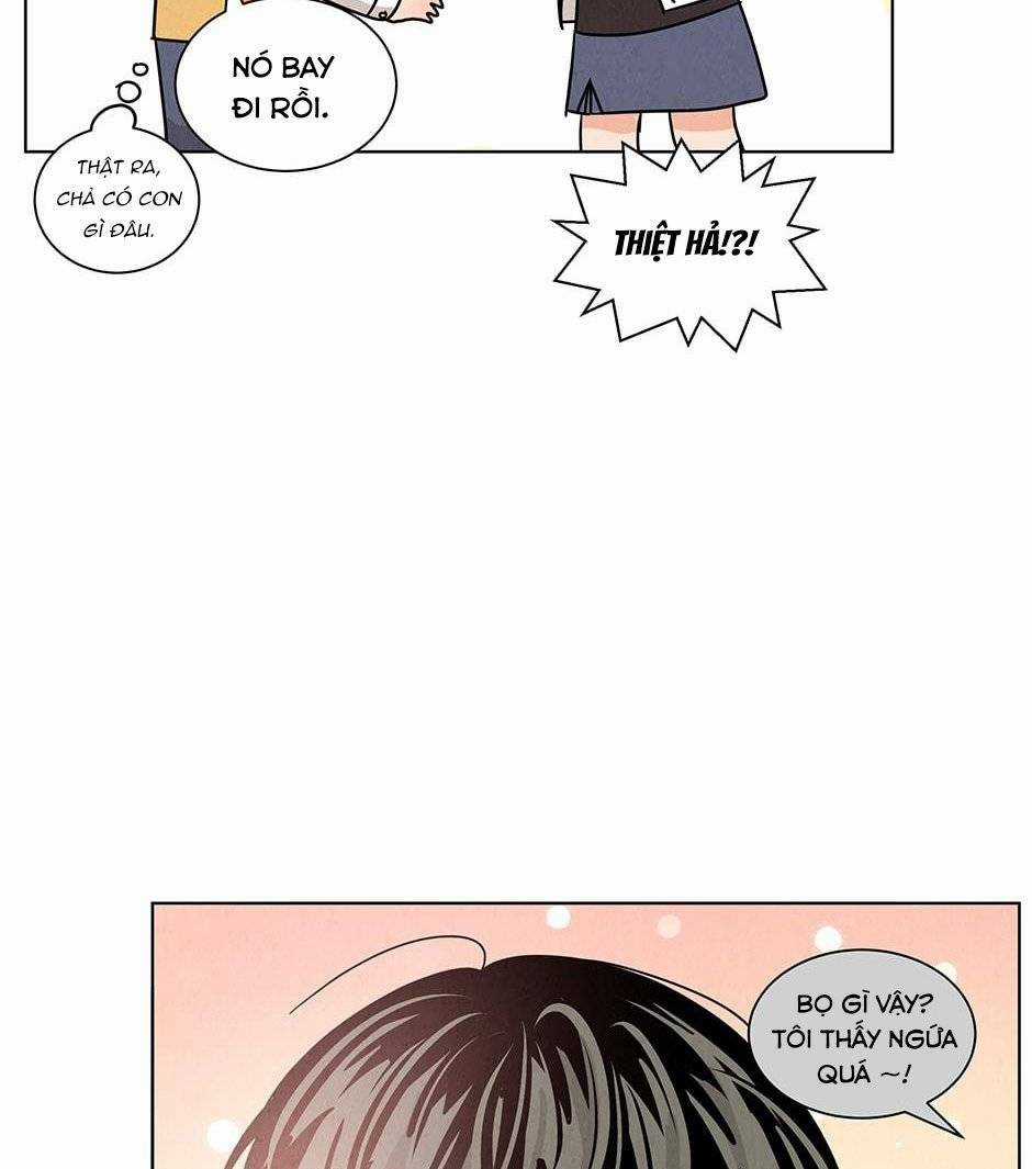 Chào Nhé, Không Làm Thông Gia Nữa Đâu! Chapter 20 trang 62