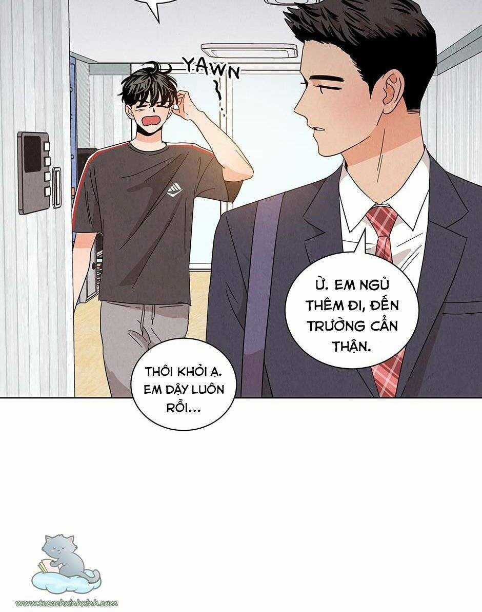 Chào Nhé, Không Làm Thông Gia Nữa Đâu! Chapter 21 trang 19