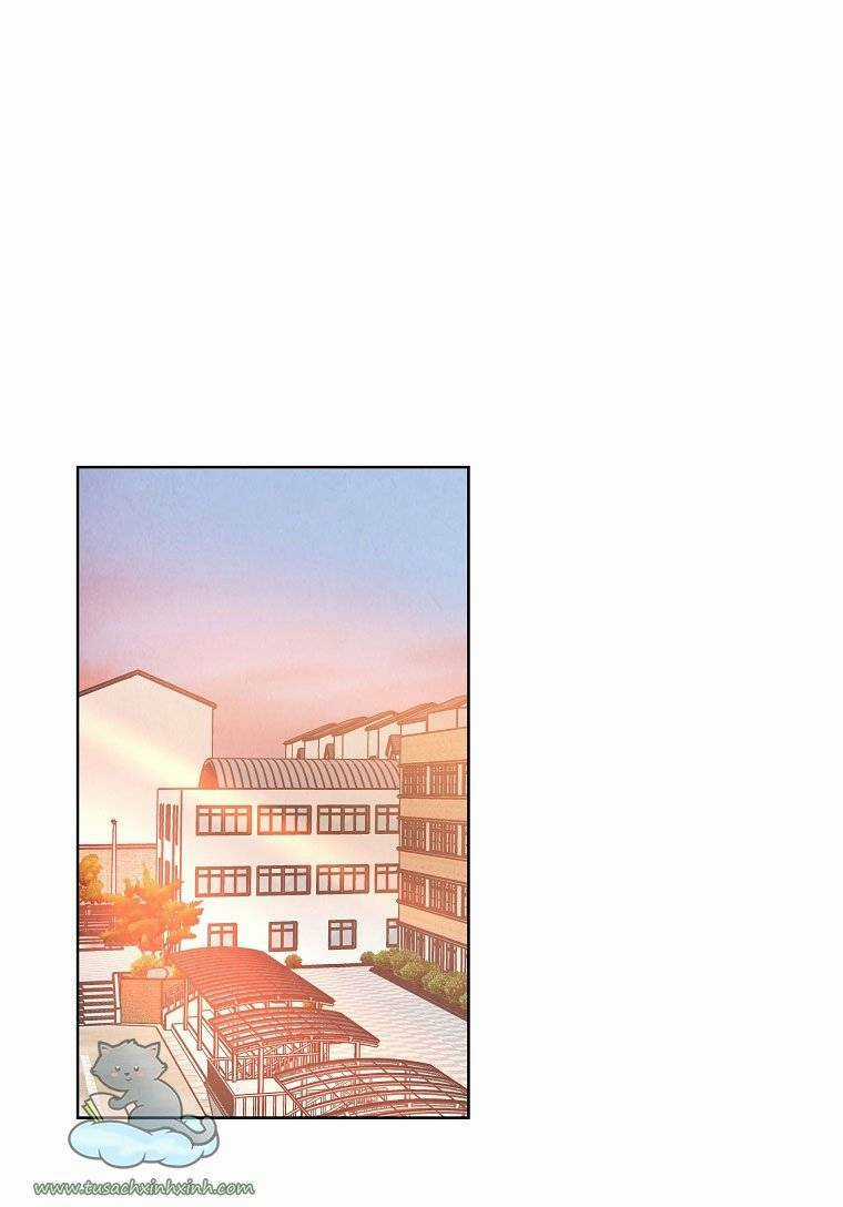 Chào Nhé, Không Làm Thông Gia Nữa Đâu! Chapter 3 trang 81