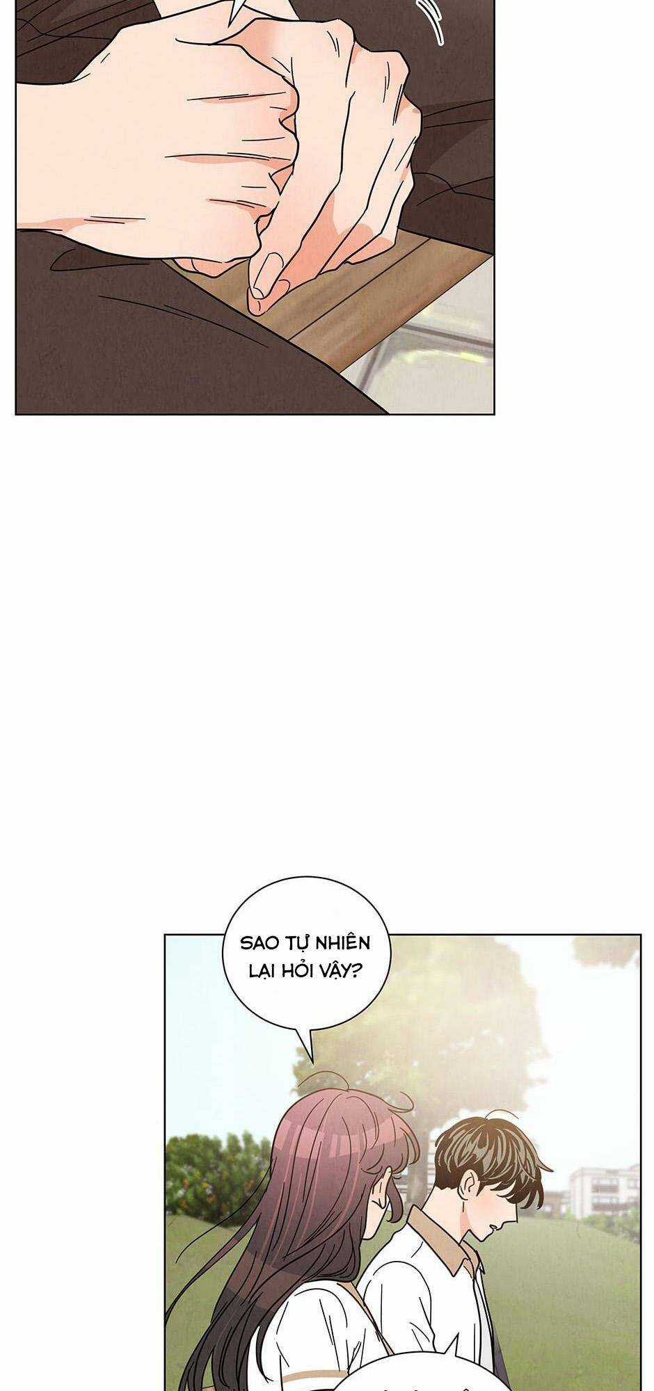 Chào Nhé, Không Làm Thông Gia Nữa Đâu! Chapter 32 trang 46