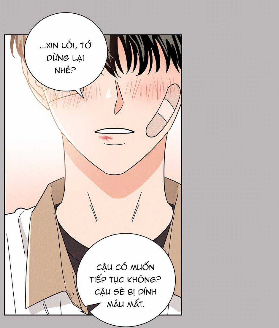 Chào Nhé, Không Làm Thông Gia Nữa Đâu! Chapter 51 trang 83