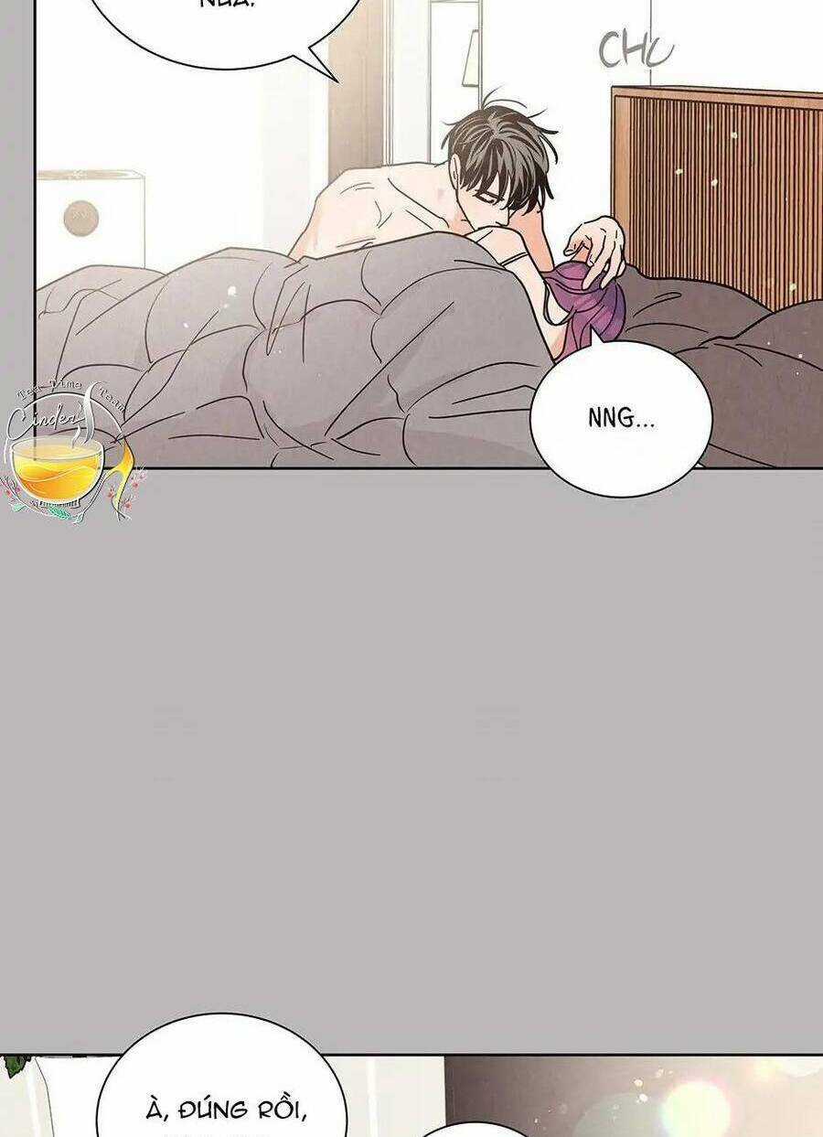 Chào Nhé, Không Làm Thông Gia Nữa Đâu! Chapter 65 trang 69