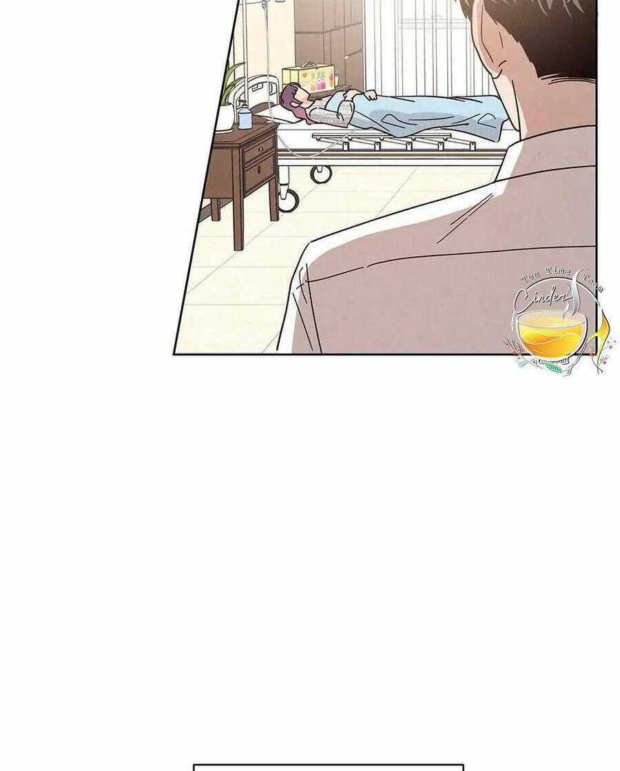 Chào Nhé, Không Làm Thông Gia Nữa Đâu! Chapter 66 trang 37