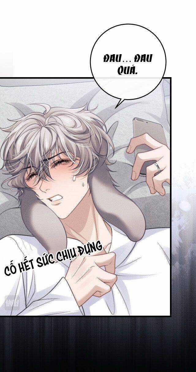 Chấp Sự Thỏ Cụp Tai Chương 13 trang 14
