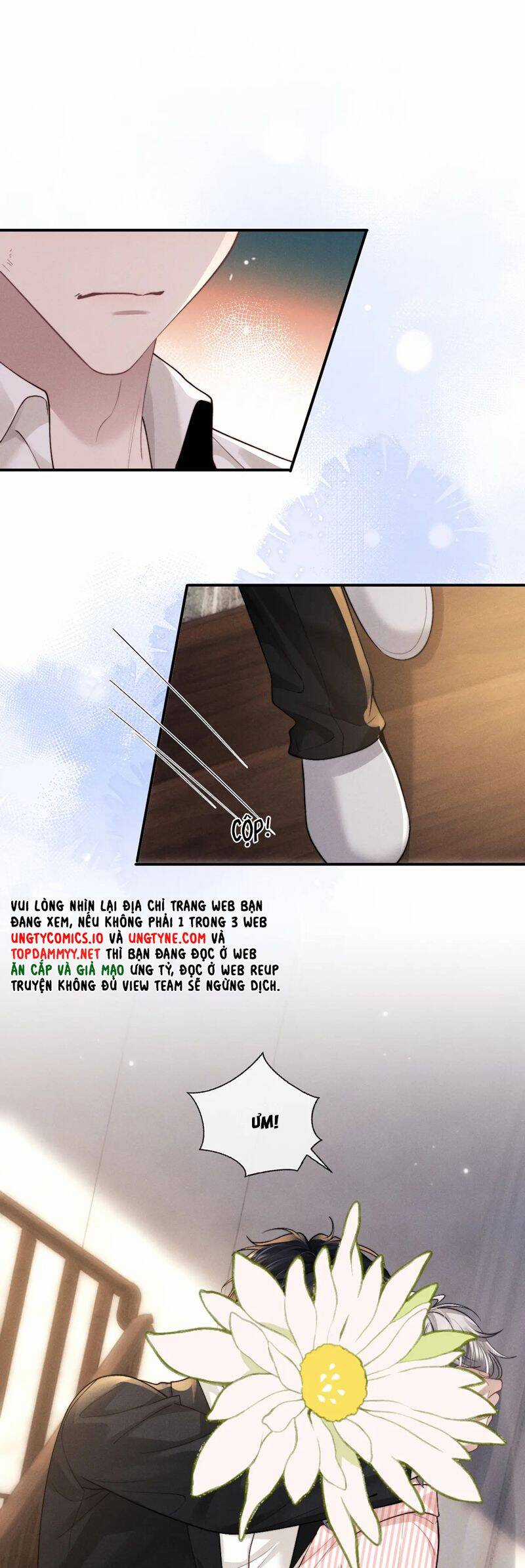 Chấp Sự Thỏ Cụp Tai Chương 135 trang 16