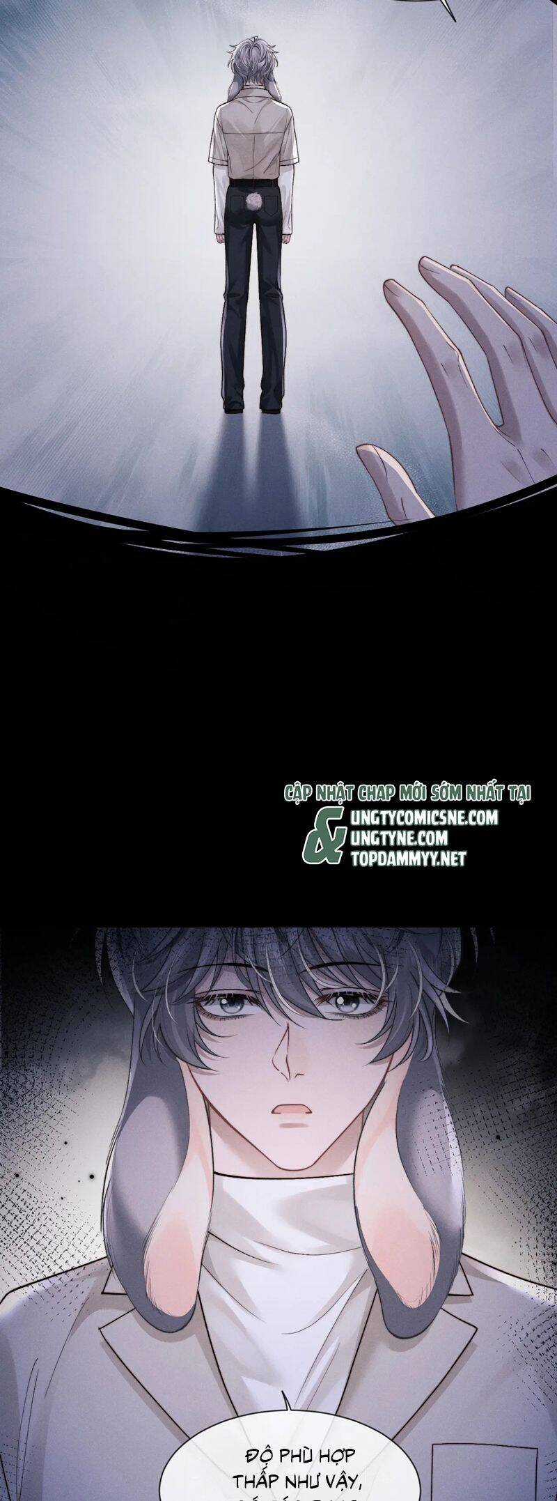 Chấp Sự Thỏ Cụp Tai Chương 137 trang 15