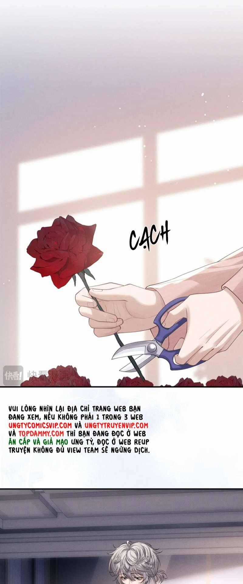Chấp Sự Thỏ Cụp Tai Chương 70 trang 1