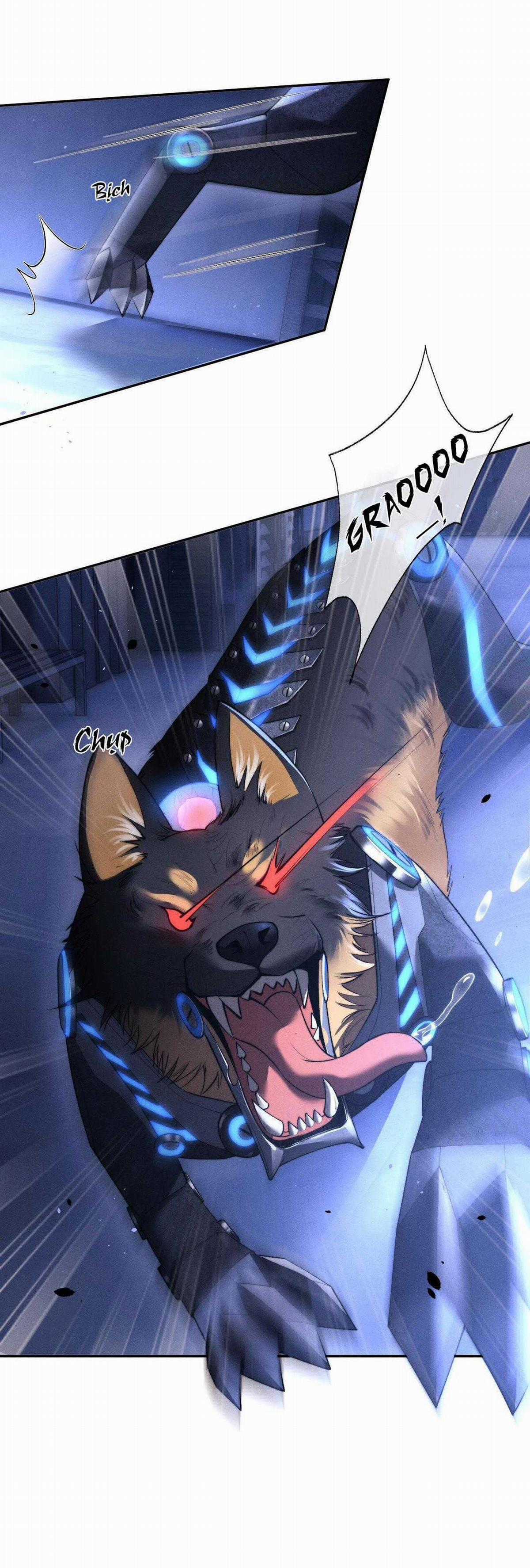 Chấp Sự Thỏ Tai Cụp Chapter 100 trang 8