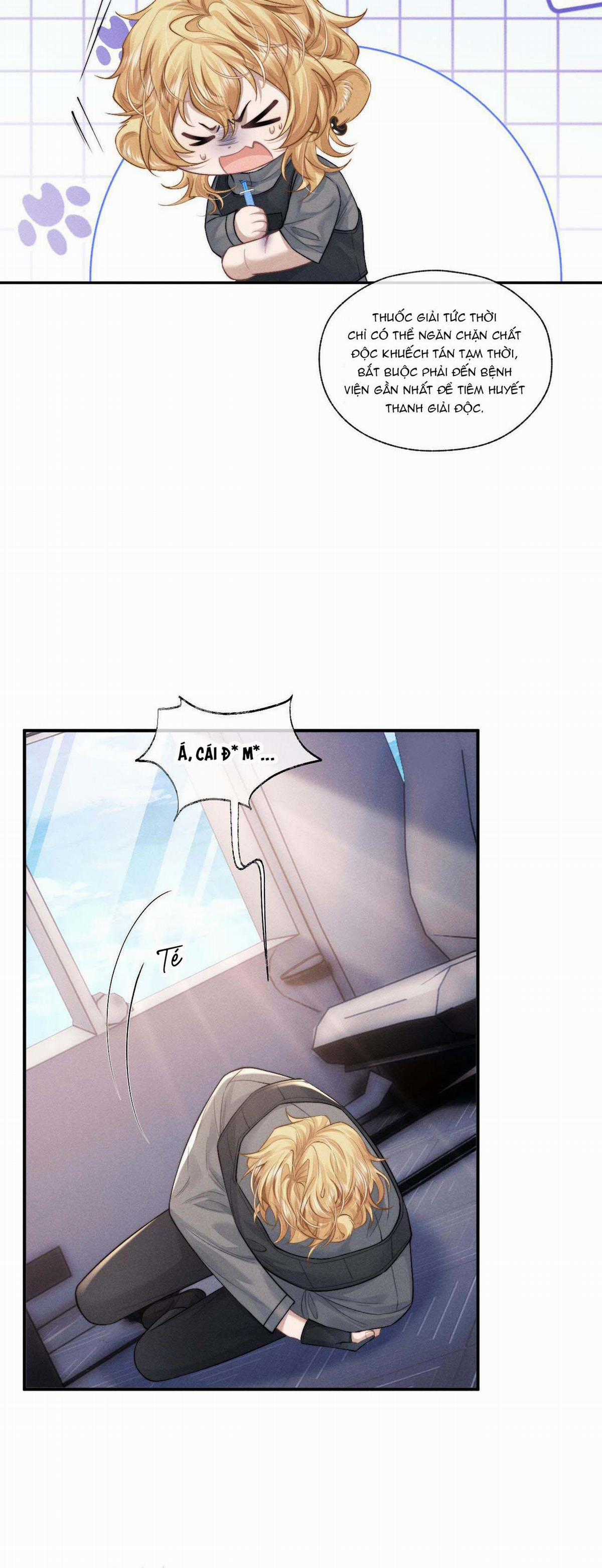 Chấp Sự Thỏ Tai Cụp Chapter 104 trang 9